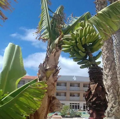 Parque Carolina Costa Del Silencio